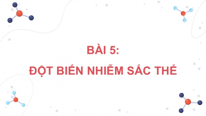 Giáo án điện tử Sinh học 12 kết nối Bài 12: Đột biến nhiễm sắc thể