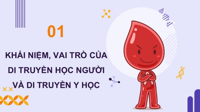 Giáo án điện tử Sinh học 12 kết nối Bài 13: Di truyền học người và di truyền y học