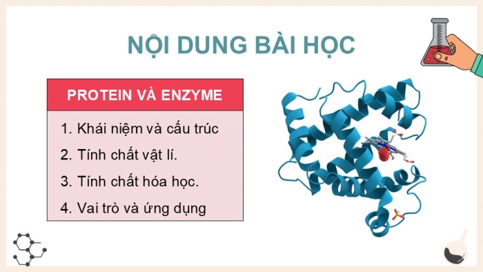 Giáo án điện tử Hoá học 12 chân trời Bài 8: Protein và enzyme