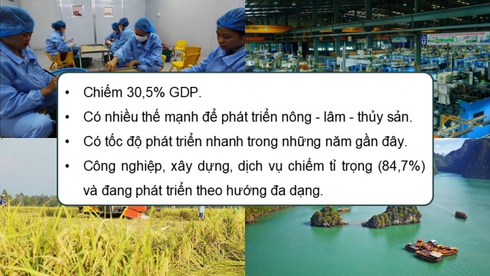 Giáo án điện tử Địa lí 9 cánh diều Bài 10: Vùng Đồng bằng sông Hồng (P2)