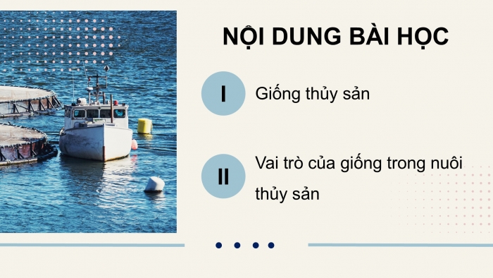 Giáo án điện tử Công nghệ 12 Lâm nghiệp - Thủy sản Kết nối Bài 13: Vai trò của giống thủy sản