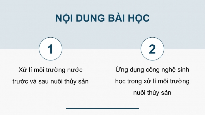 Giáo án điện tử Công nghệ 12 Lâm nghiệp Thủy sản Cánh diều Bài 13: Xử li môi trường nuôi thuỷ sản