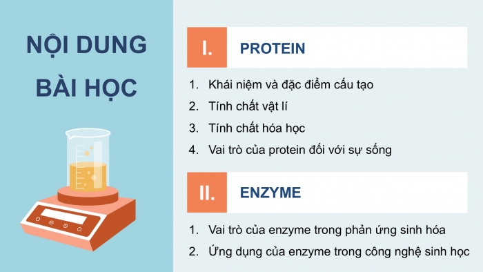 Giáo án điện tử Hoá học 12 kết nối Bài 10: Protein và enzyme