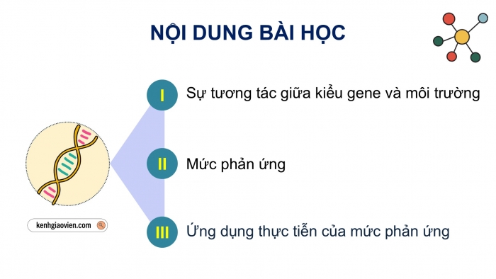 Giáo án điện tử Sinh học 12 chân trời Bài 10: Mối quan hệ giữa kiểu gene – kiểu hình – môi trường