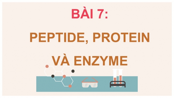 Giáo án điện tử Hóa học 12 cánh diều Bài 7: Peptide, protein và enzyme