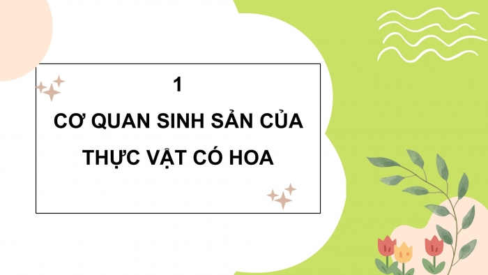 Giáo án điện tử Khoa học 5 chân trời Bài 13: Sự sinh sản của thực vật có hoa