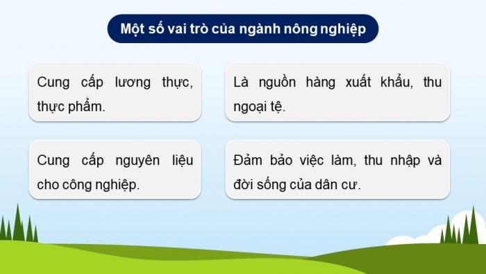 Giáo án điện tử Địa lí 12 cánh diều Bài 11: Một số hình thức tổ chức lãnh thổ nông nghiệp