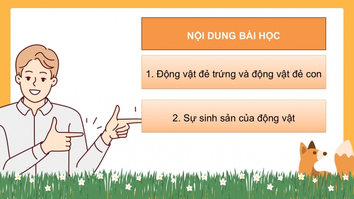 Giáo án điện tử Khoa học 5 chân trời Bài 15: Sự sinh sản của động vật