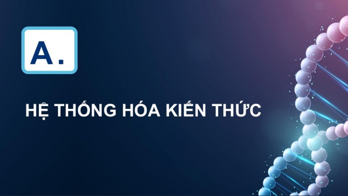 Giáo án điện tử Sinh học 12 chân trời Bài Ôn tập Chương 1