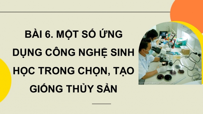 Giáo án điện tử chuyên đề Công nghệ 12 Lâm nghiệp Thuỷ sản Kết nối Bài 6: Một số ứng dụng công nghệ sinh học trong chọn, tạo giống thuỷ sản