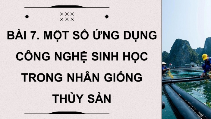 Giáo án điện tử chuyên đề Công nghệ 12 Lâm nghiệp Thuỷ sản Kết nối Bài 7: Ứng dụng công nghệ sinh học trong sản xuất giống thuỷ sản