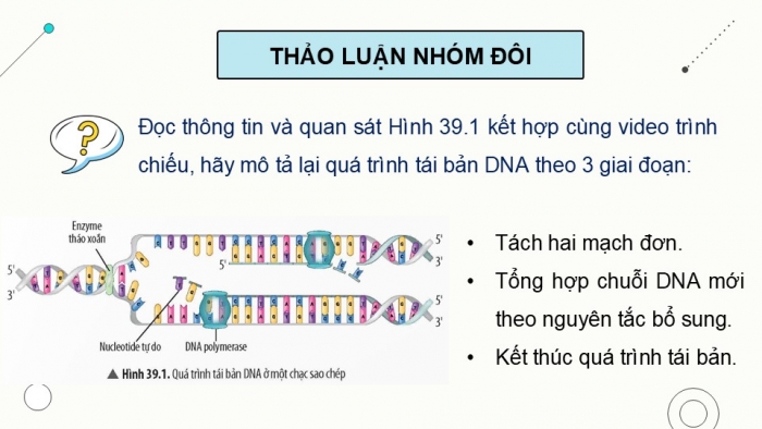 Giáo án điện tử KHTN 9 chân trời - Phân môn Sinh học Bài 39: Quá trình tái bản, phiên mã và dịch mã