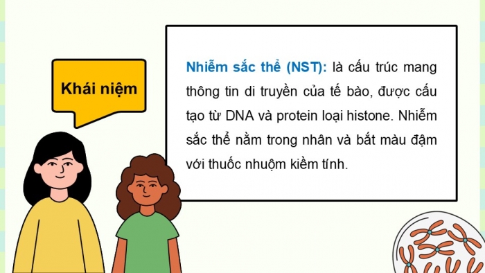 Giáo án điện tử KHTN 9 chân trời - Phân môn Sinh học Bài 41: Cấu trúc nhiễm sắc thể và đột biến nhiễm sắc thể