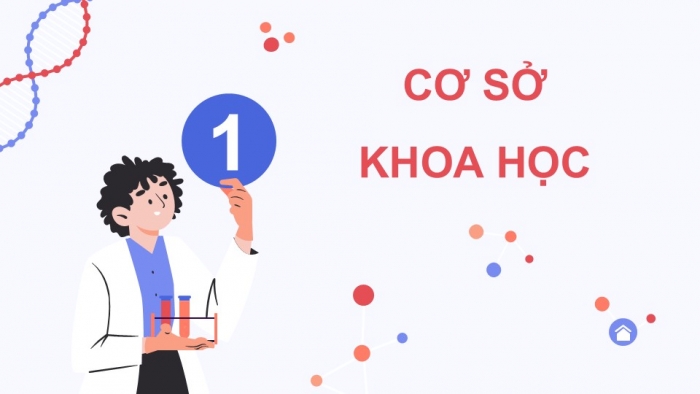 Giáo án điện tử KHTN 9 chân trời - Phân môn Sinh học Bài 42: Thực hành Quan sát tiêu bản nhiễm sắc thể