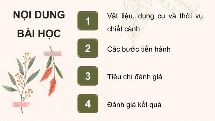 Giáo án điện tử Công nghệ 9 Trồng cây ăn quả Cánh diều Bài 4: Thực hành nhân giống cây ăn quả bằng phương pháp chiết cành