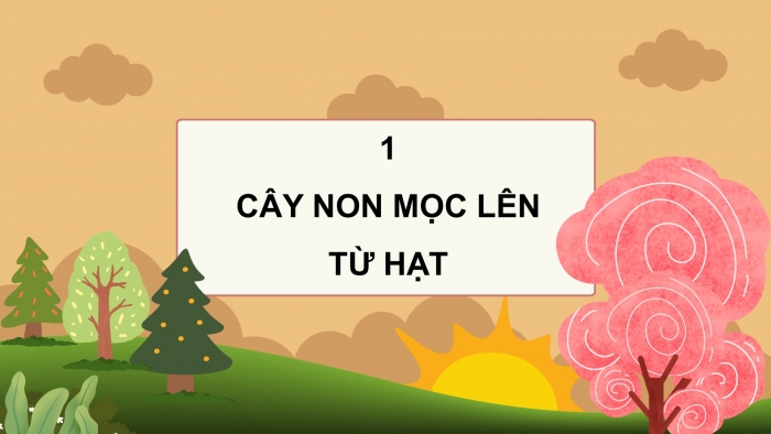 Giáo án điện tử Khoa học 5 kết nối Bài 14: Sự phát triển của cây con