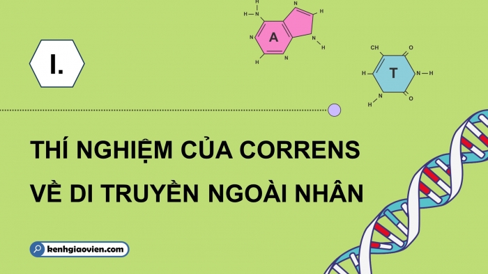 Giáo án điện tử Sinh học 12 chân trời Bài 9: Di truyền gene ngoài nhân