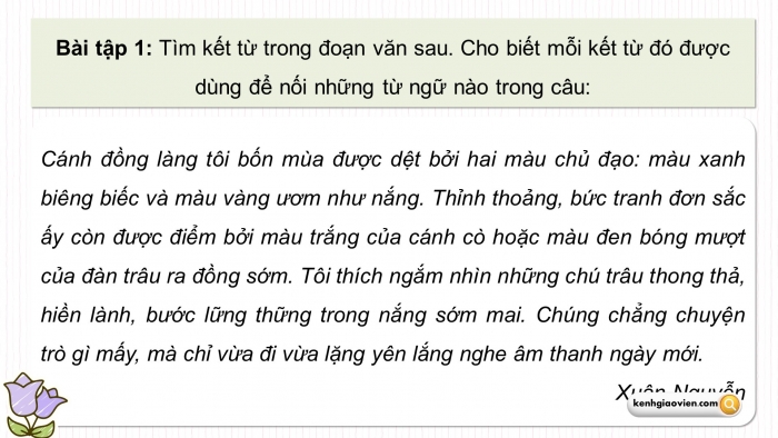 Giáo án điện tử Tiếng Việt 5 chân trời Bài 5: Luyện tập về đại từ và kết từ