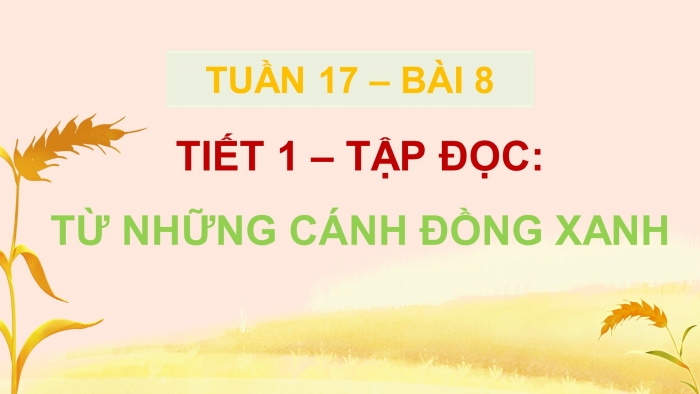 Giáo án điện tử Tiếng Việt 5 chân trời Bài 8: Từ những cánh đồng xanh