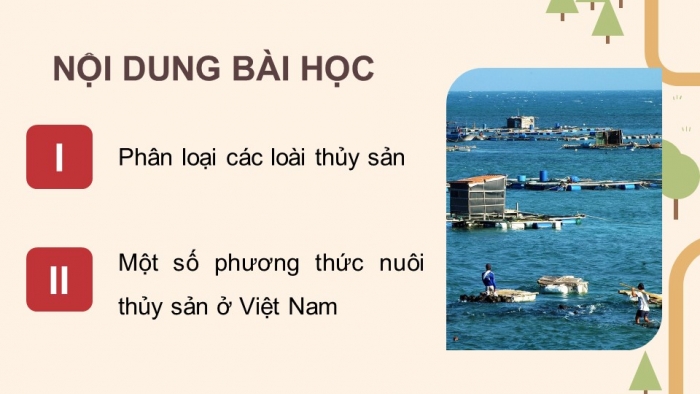 Giáo án điện tử Công nghệ 12 Lâm nghiệp - Thủy sản Kết nối Bài 9: Các nhóm thuỷ sản và một số phương thức nuôi phố biến