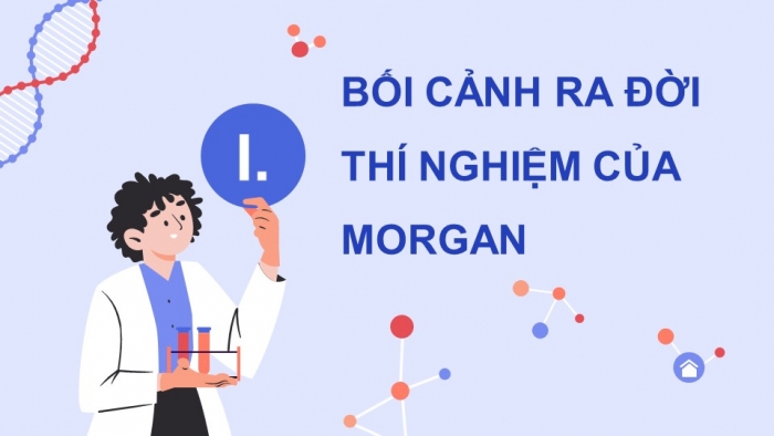 Giáo án điện tử Sinh học 12 cánh diều Bài 8: Di truyền liên kết giới tính, liên kết gene và hoán vị gene