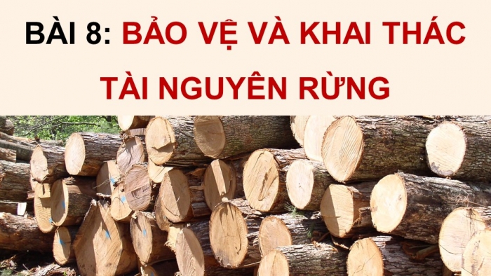 Giáo án điện tử Công nghệ 12 Lâm nghiệp Thủy sản Cánh diều Bài 8: Bảo vệ và khai thác tài nguyên rừng