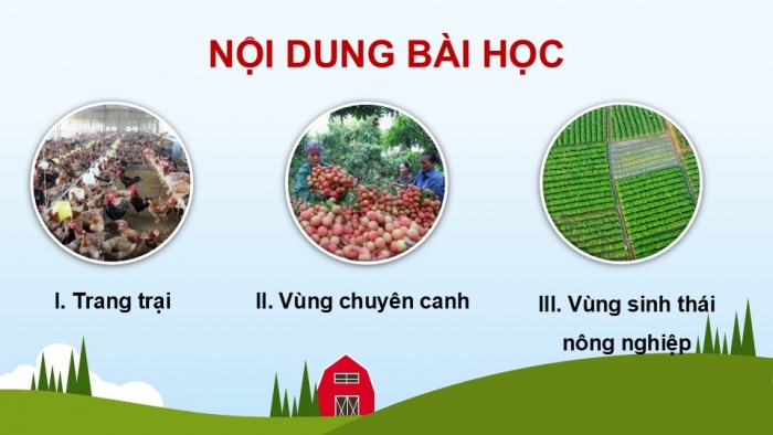 Giáo án điện tử Địa lí 12 chân trời Bài 14: Tổ chức lãnh thổ nông nghiệp