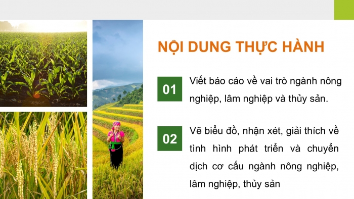 Giáo án điện tử Địa lí 12 chân trời Bài 15: Thực hành Tìm hiểu vai trò, tình hình phát triển và chuyển dịch cơ cấu ngành nông nghiệp, lâm nghiệp, thuỷ sản