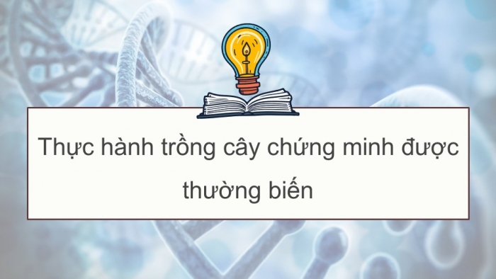 Giáo án điện tử Sinh học 12 kết nối Bài 17: Thực hành Thí nghiệm về thường biến ở cây trồng