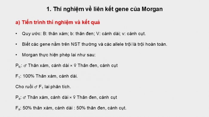 Giáo án điện tử Sinh học 12 kết nối Bài 11: Liên kết gene và hoán vị gene