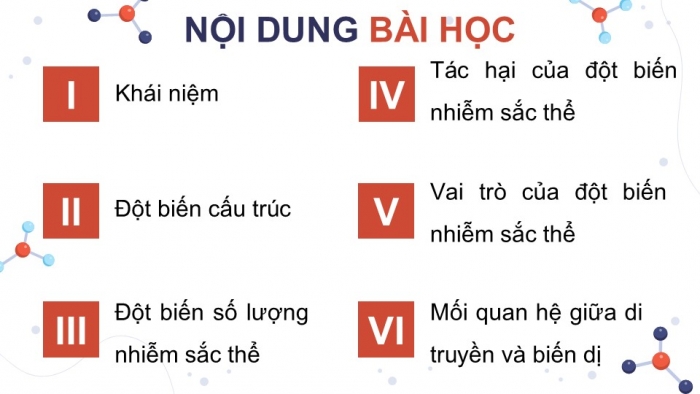 Giáo án điện tử Sinh học 12 kết nối Bài 12: Đột biến nhiễm sắc thể