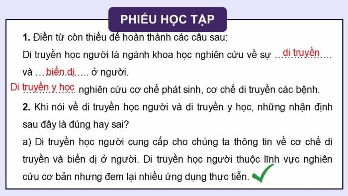 Giáo án điện tử Sinh học 12 kết nối Bài 13: Di truyền học người và di truyền y học