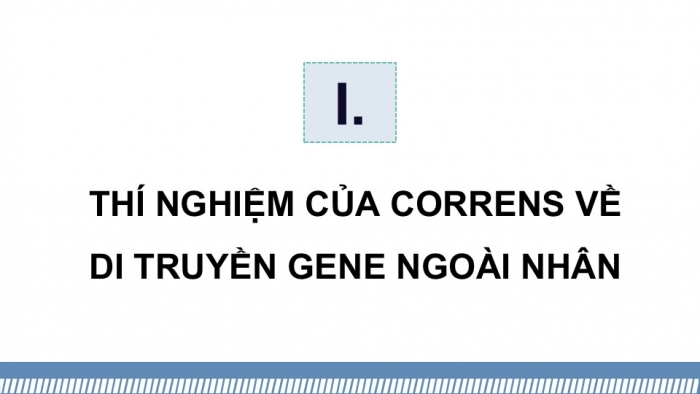 Giáo án điện tử Sinh học 12 kết nối Bài 15: Di truyền gene ngoài nhân