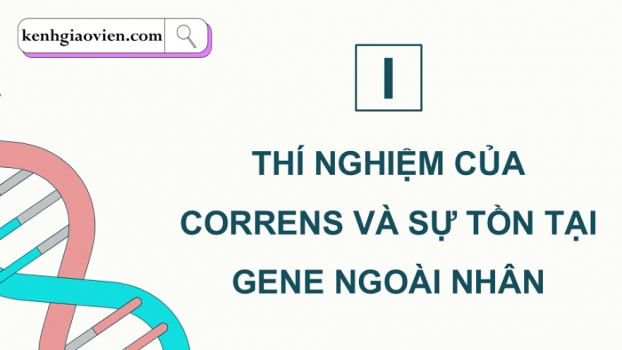 Giáo án điện tử Sinh học 12 cánh diều Bài 9: Di truyền gene ngoài nhân