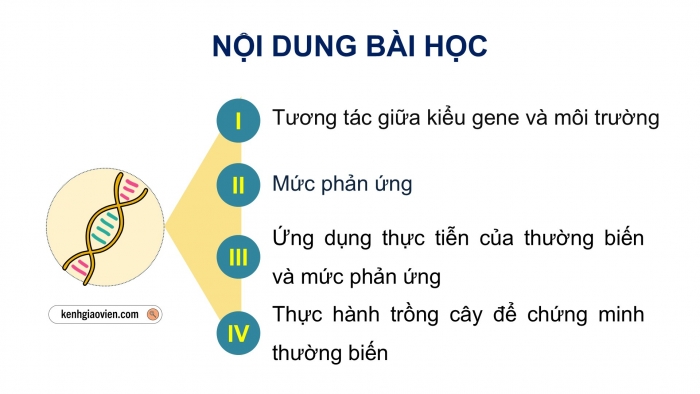 Giáo án điện tử Sinh học 12 cánh diều Bài 10: Mối quan hệ giữa kiểu gene, môi trường và kiểu hình