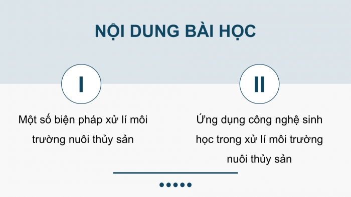 Giáo án điện tử Công nghệ 12 Lâm nghiệp - Thủy sản Kết nối Bài 12: Biện pháp xử lí môi trường nuôi thuỷ sản