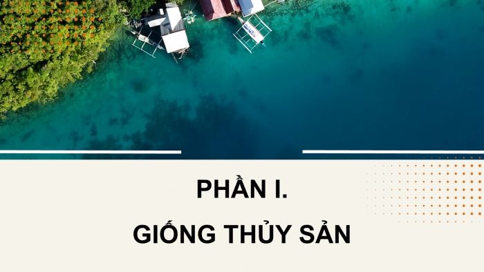 Giáo án điện tử Công nghệ 12 Lâm nghiệp - Thủy sản Kết nối Bài 13: Vai trò của giống thủy sản