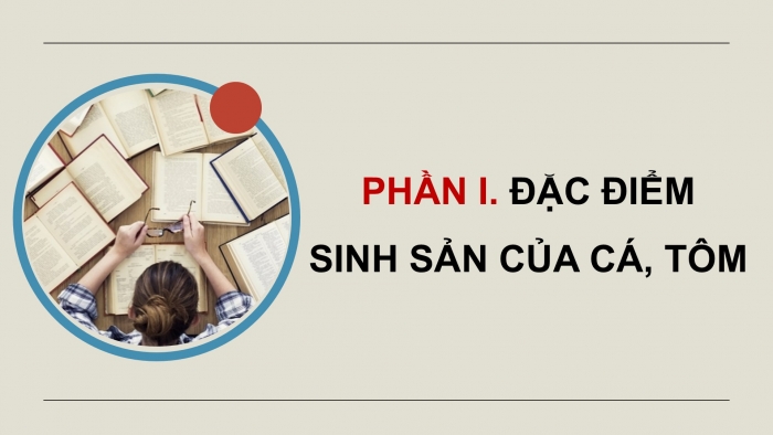 Giáo án điện tử Công nghệ 12 Lâm nghiệp - Thủy sản Kết nối Bài 14: Sinh sản của cá và tôm