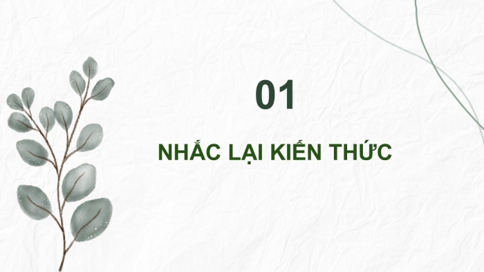 Giáo án PPT dạy thêm Ngữ văn 12 Cánh diều bài 4: Việt Bắc (Tố Hữu)