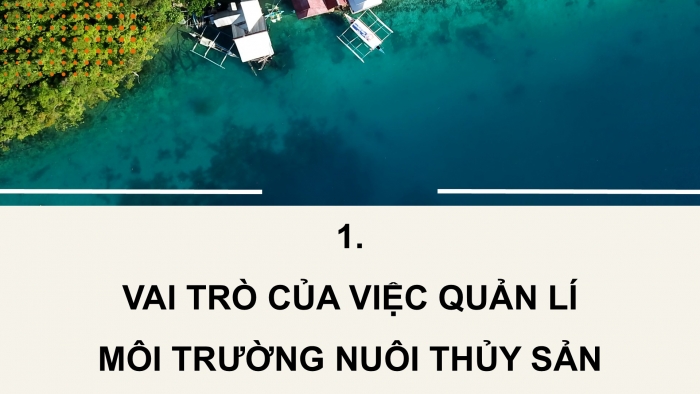 Giáo án điện tử Công nghệ 12 Lâm nghiệp Thủy sản Cánh diều Bài 12: Quản lí môi trường nuôi thuỷ sản