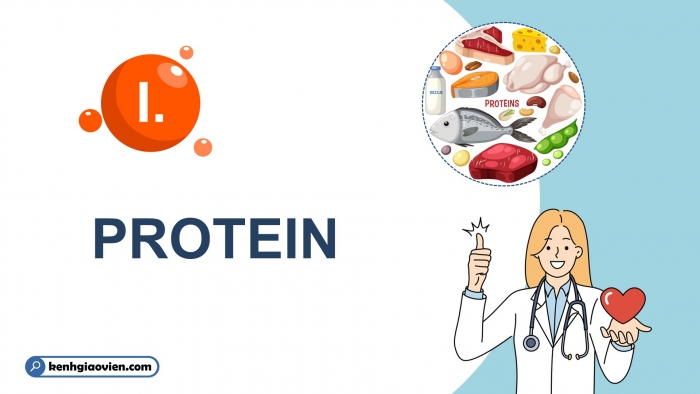 Giáo án điện tử Hoá học 12 kết nối Bài 10: Protein và enzyme