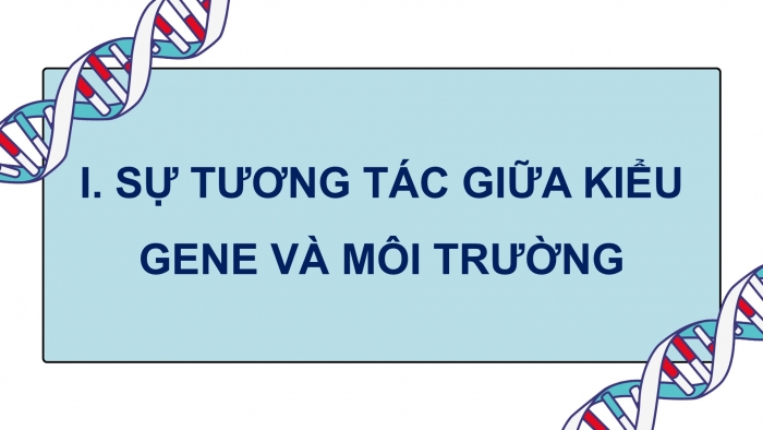 Giáo án điện tử Sinh học 12 chân trời Bài 10: Mối quan hệ giữa kiểu gene – kiểu hình – môi trường