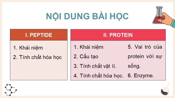 Giáo án điện tử Hóa học 12 cánh diều Bài 7: Peptide, protein và enzyme