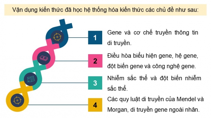 Giáo án điện tử Sinh học 12 chân trời Bài Ôn tập Chương 1