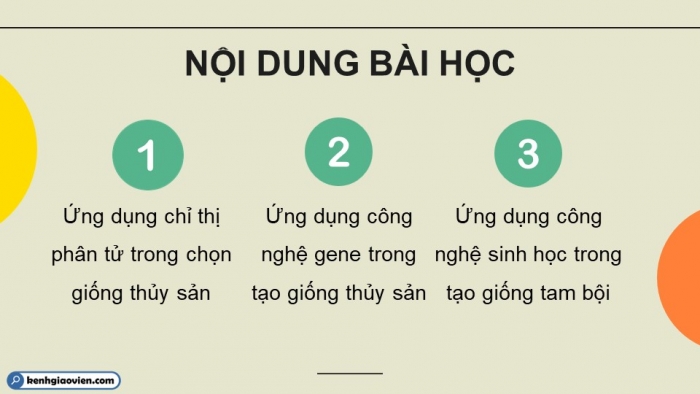 Giáo án điện tử chuyên đề Công nghệ 12 Lâm nghiệp Thuỷ sản Kết nối Bài 6: Một số ứng dụng công nghệ sinh học trong chọn, tạo giống thuỷ sản