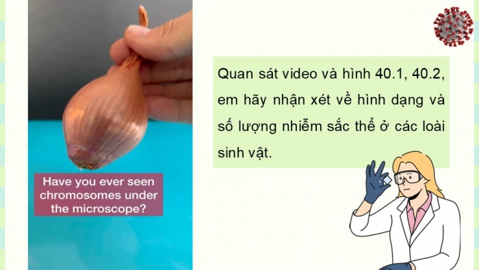 Giáo án điện tử KHTN 9 chân trời - Phân môn Sinh học Bài 41: Cấu trúc nhiễm sắc thể và đột biến nhiễm sắc thể