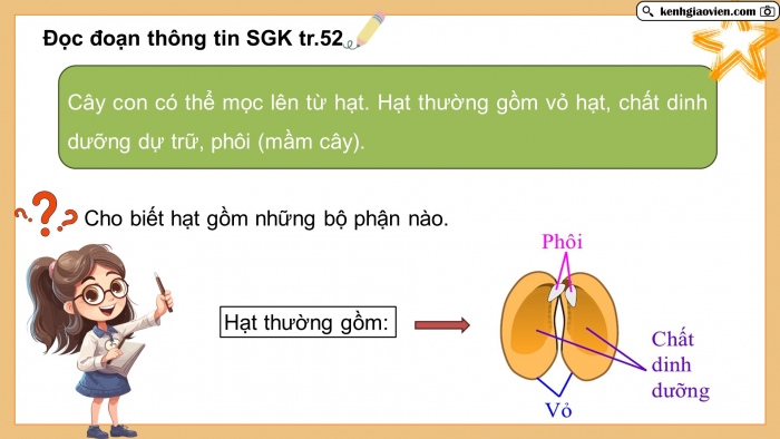 Giáo án điện tử Khoa học 5 kết nối Bài 14: Sự phát triển của cây con