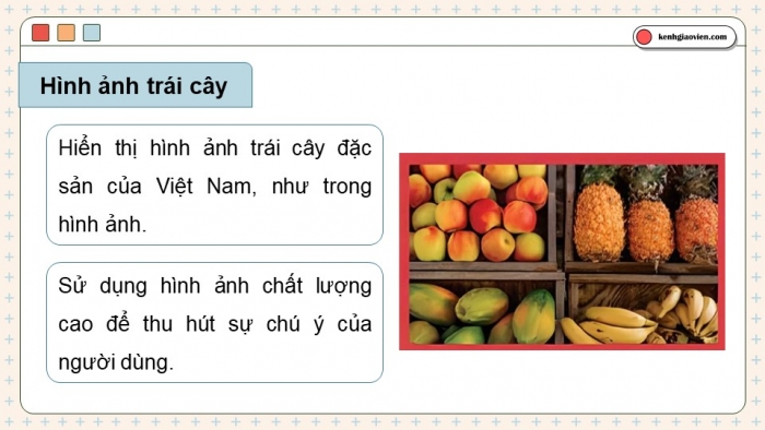 Giáo án điện tử Tin học ứng dụng 12 chân trời Bài E1: Tạo trang web, thiết lập giao diện và xem trước trang web