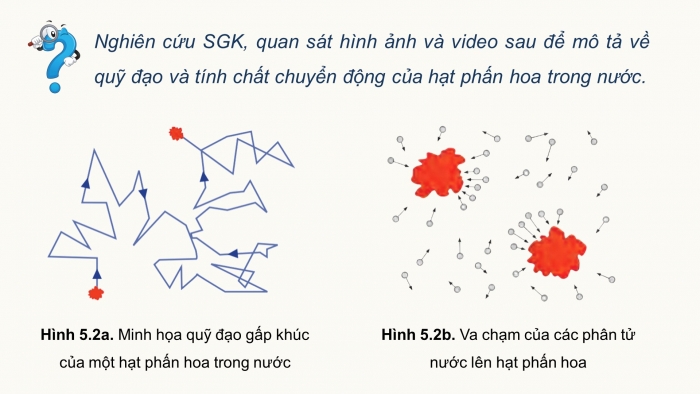 Giáo án điện tử Vật lí 12 chân trời Bài 5: Thuyết động học phân tử chất khí