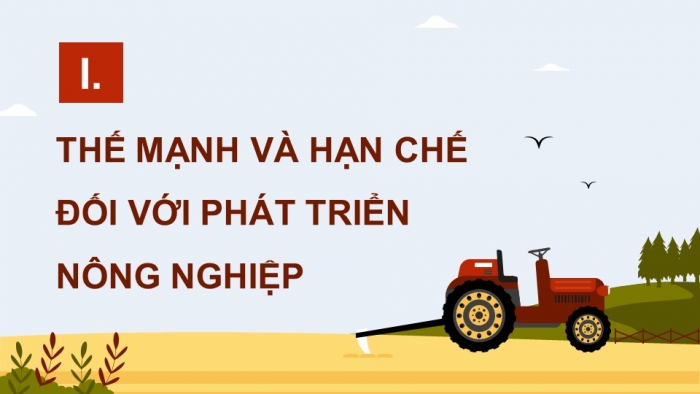 Giáo án điện tử Địa lí 12 chân trời Bài 12: Vấn đề phát triển nông nghiệp